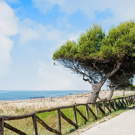 Flat In A House With Garden Daire *